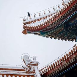 tommy_mao于2019-12-12 19:07发布的图片