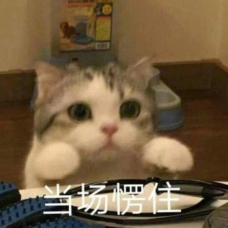拜托啦俊酱丶于2019-12-13 10:12发布的图片