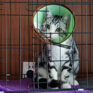 说出你的愿望吧于2019-12-13 12:47发布的图片