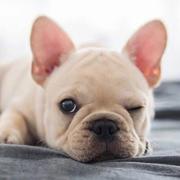 bydelaoyao的个人资料头像