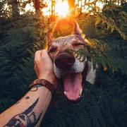 RookieDe的个人资料头像