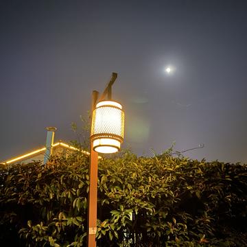 子弈于2019-12-13 22:26发布的图片