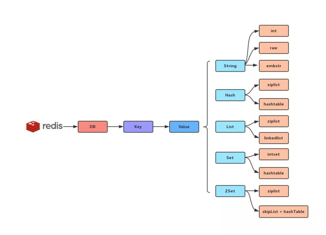 Redis 的数据架构
