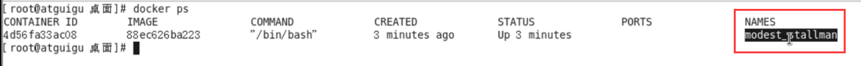 docker ps