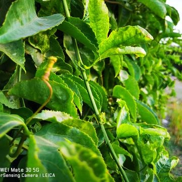 已注销于2019-12-14 18:15发布的图片