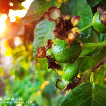 已注销于2019-12-14 18:15发布的图片