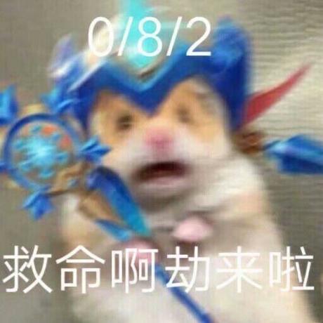 又是美好的一天于2019-12-15 02:06发布的图片