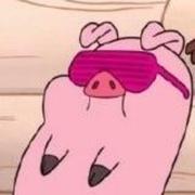 无知影的个人资料头像