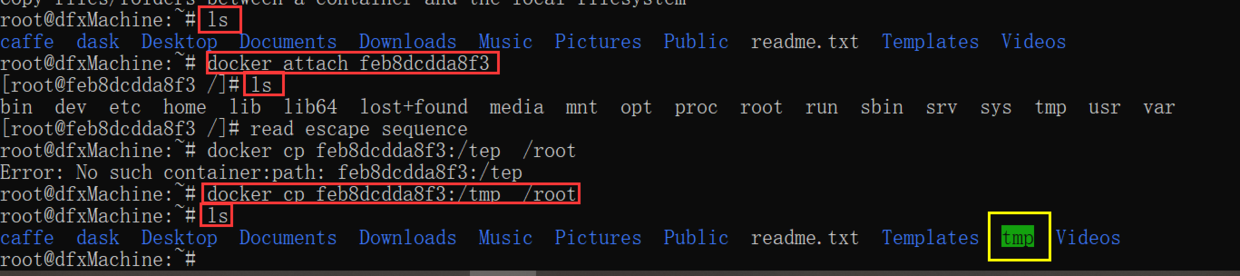 docker cp示例