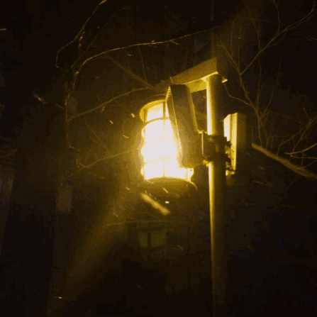 熏悟空的孙于2019-12-15 13:54发布的图片