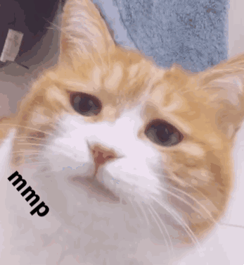 mmp