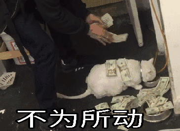 请用钱砸死我