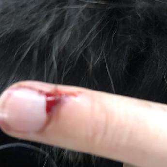 已注销于2019-12-16 08:38发布的图片