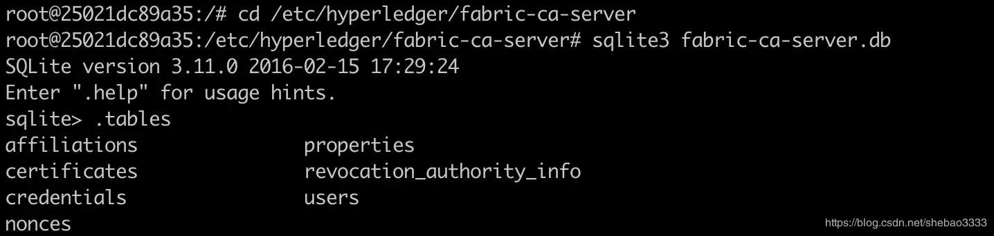 \[外链图片转存失败,源站可能有防盗链机制,建议将图片保存下来直接上传(img-jBx8htwd-1576464749075)(fabric-ca-exploring/inspect-db.png)\]