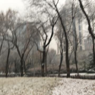 已注销132于2019-12-16 13:48发布的图片