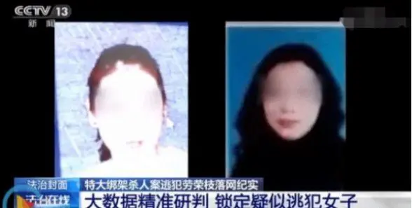 7条人命、潜逃23年，“整容逃犯”劳荣枝竟被“它”一眼认出