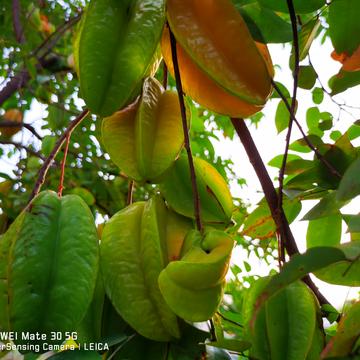 已注销于2019-12-16 18:21发布的图片