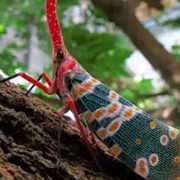 1的个人资料头像