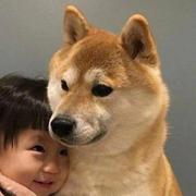 01的保护者的个人资料头像