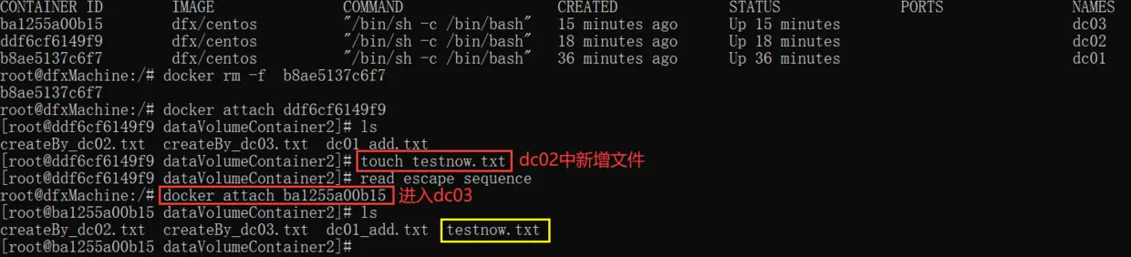 dc03也会跟着dc02变化
