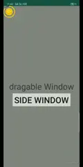 float window