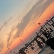 赖鼠的个人资料头像