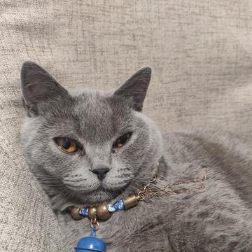 前端小然子于2019-12-17 13:57发布的图片