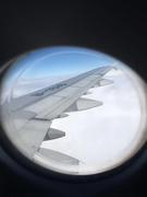 前端小坑哈的个人资料头像