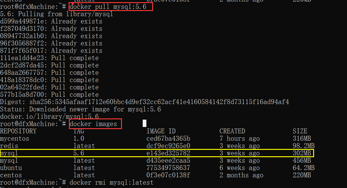 拉取指定版本mysql
