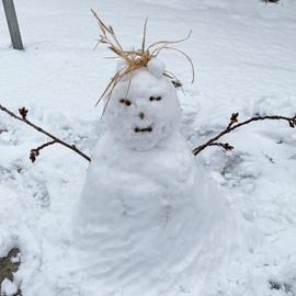 性感前端在线发胖于2019-12-18 10:42发布的图片