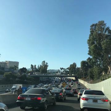 晚星就像你的眼睛于2019-12-02 14:07发布的图片