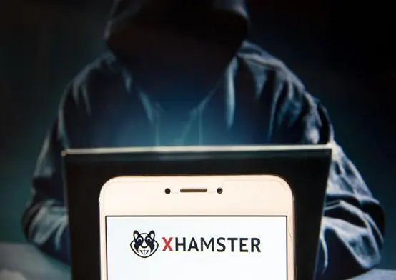 硅谷色情谷的良心，XHamster的内容审核竟然比Facebook强？