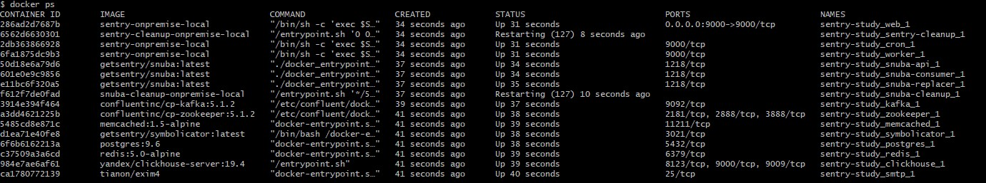 sentryInstall-4.jpg