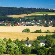 战狼世家的个人资料头像