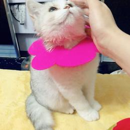 拿铁遇美式要加冰于2019-12-20 22:17发布的图片