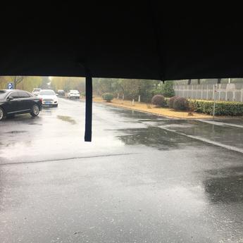 Joy狗子赖于2019-12-21 09:29发布的图片