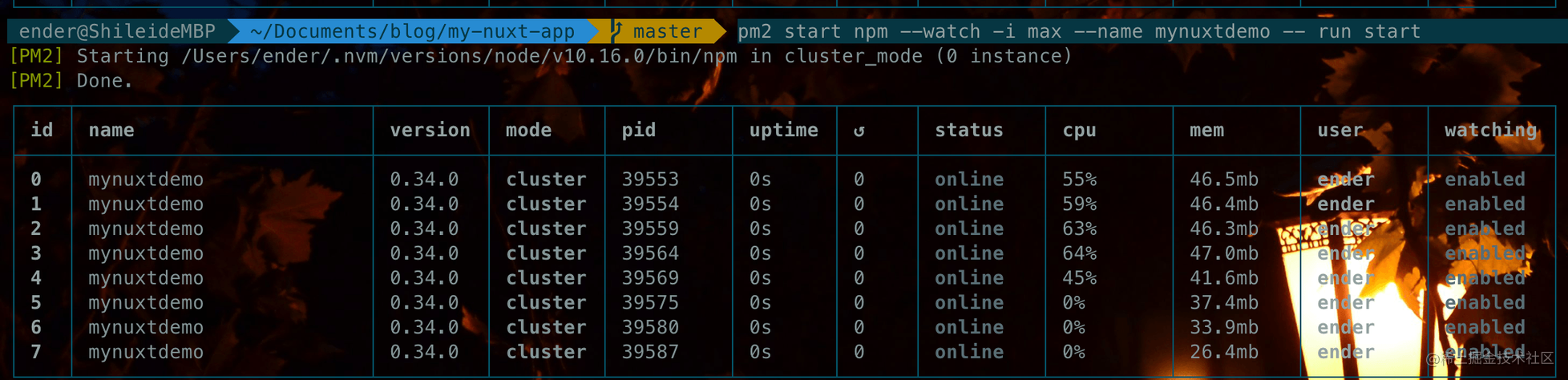 pm2cluster