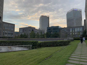 Warflor的个人资料头像