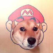 sssssyyyyy的个人资料头像