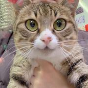 憨憨的咸鱼的个人资料头像