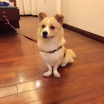 JowayYoung于2019-12-23 16:56发布的图片