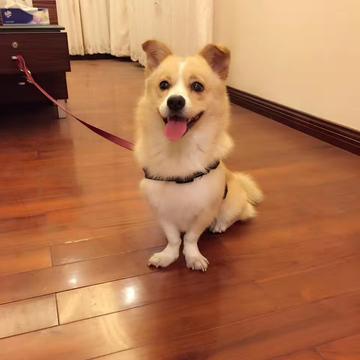 JowayYoung于2019-12-23 16:56发布的图片