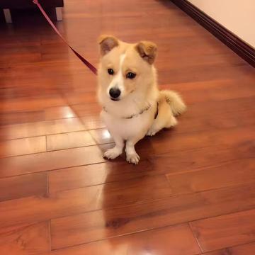 JowayYoung于2019-12-23 16:56发布的图片