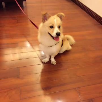 JowayYoung于2019-12-23 16:56发布的图片