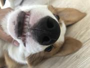 赛跑的个人资料头像