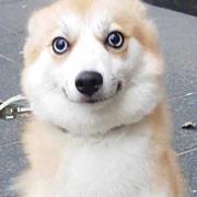 suns_s_1024的个人资料头像