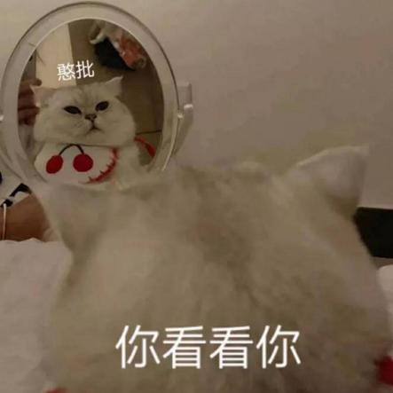 提莫队长前来摸鱼于2019-12-24 16:28发布的图片