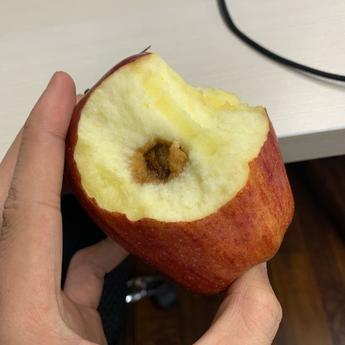 比啊奶爸于2019-12-24 17:04发布的图片