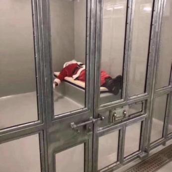 摸鱼大王脑残片于2019-12-24 18:05发布的图片