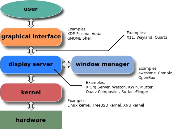 The basic components of a GUI